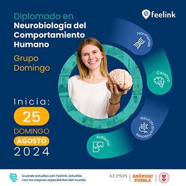 programa educativo