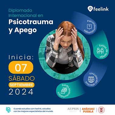 programa educativo