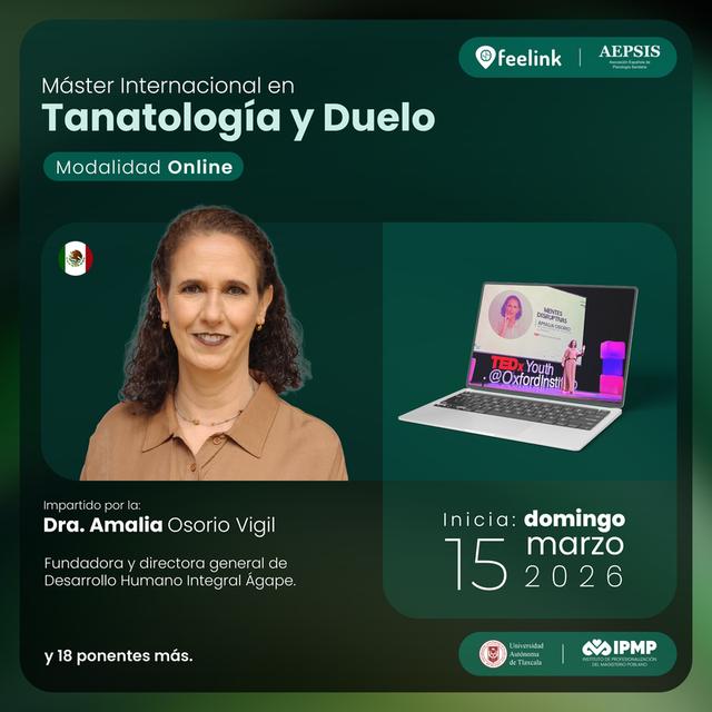 programa educativo