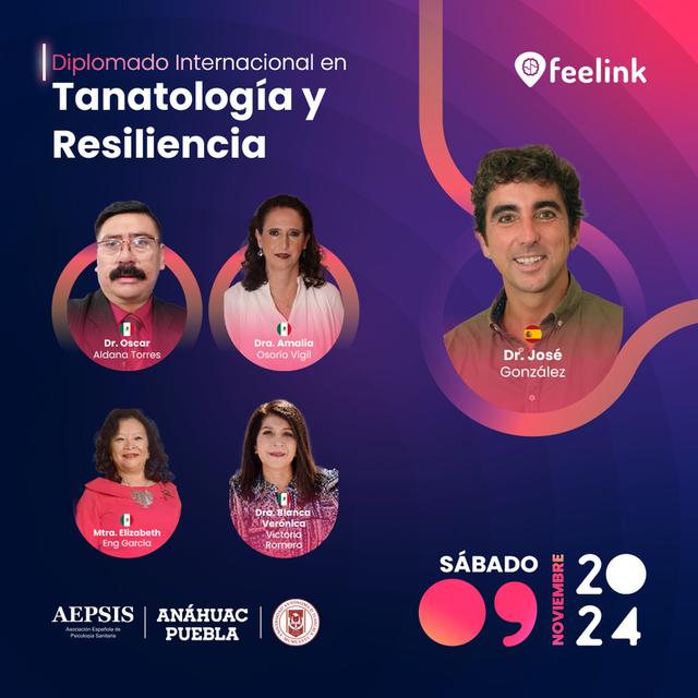 programa educativo