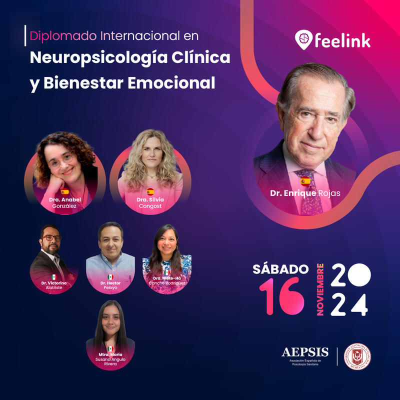programa educativo