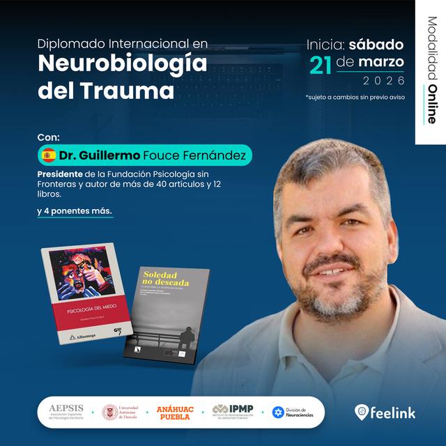 programa educativo
