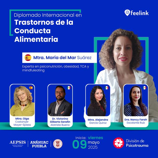 programa educativo