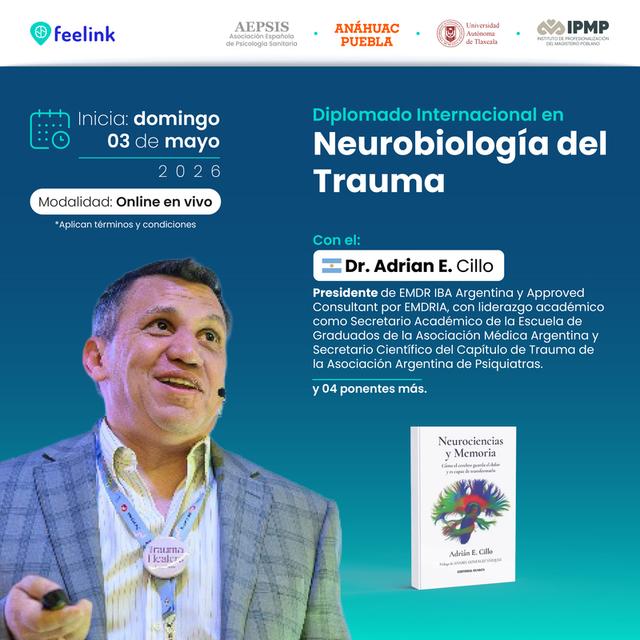 programa educativo