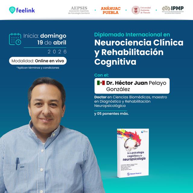 programa educativo