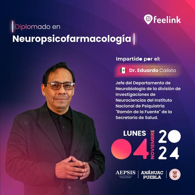 programa educativo