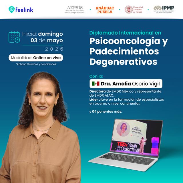 programa educativo