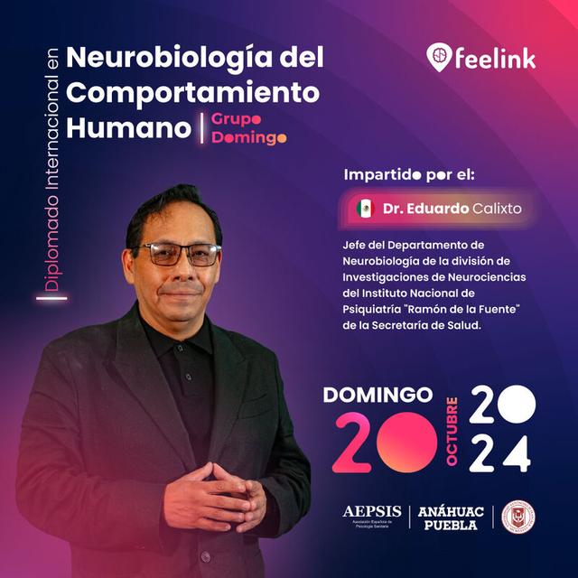 programa educativo